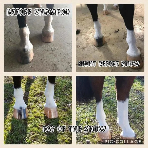 BLING IT ON PONY