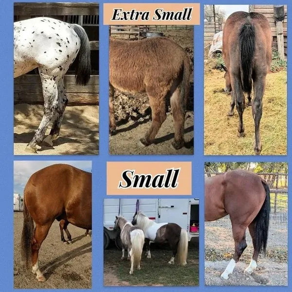 1 TAIL BOOT