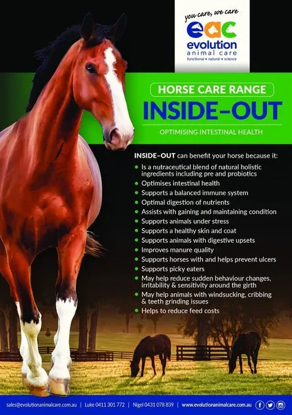 INSIDE - OUT HORSE FORMULA