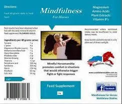 MINDFULNESS