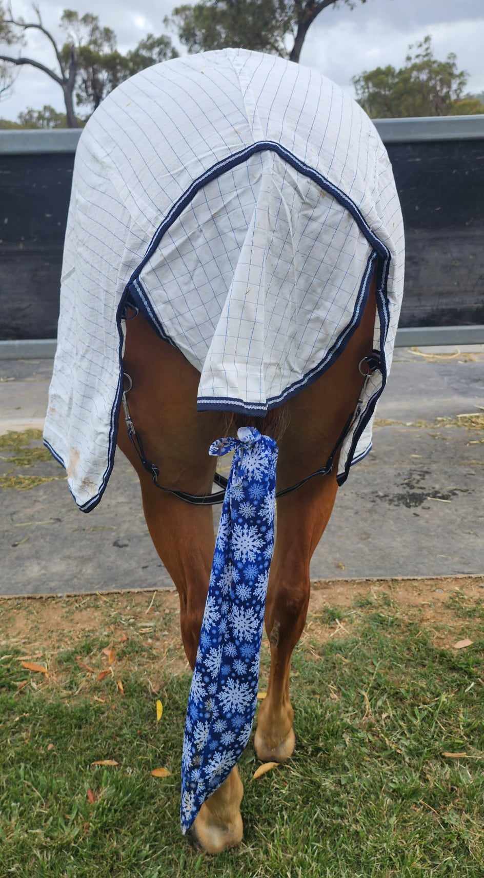 SHOW PREP RIP STOP SUMMER RUG WITH NECK STRECH COMBO