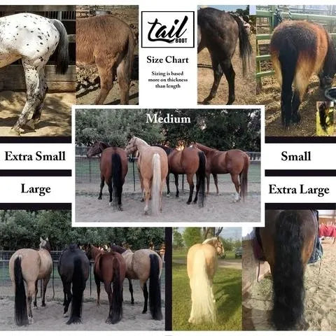 1 TAIL BOOT