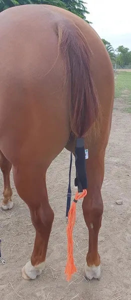 1 TAIL BOOT