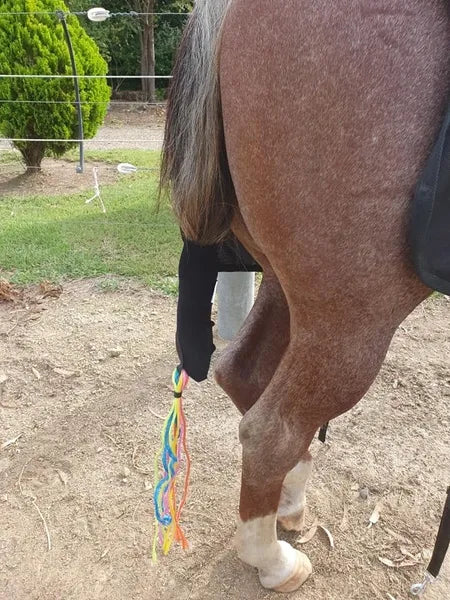 1 TAIL BOOT