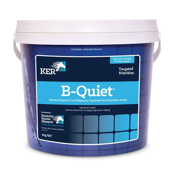 B-QUIET