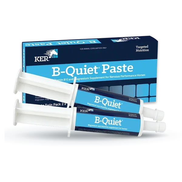 B-QUIET PASTE TWIN PACK