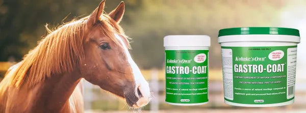GASTRO-COAT