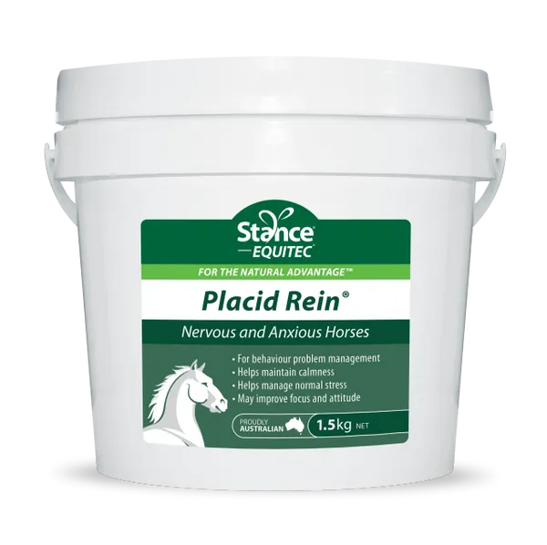 PLACID REIN