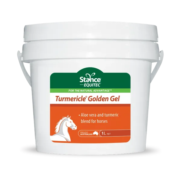 TURMERICLE GOLDEN GEL