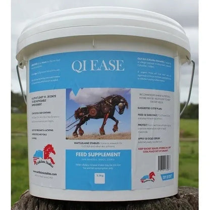 QI EASE