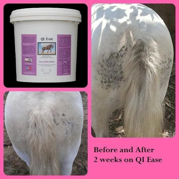 QI EASE