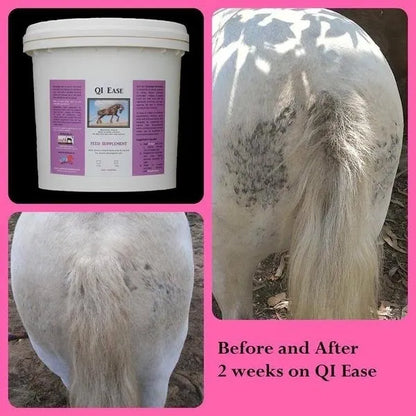 QI EASE