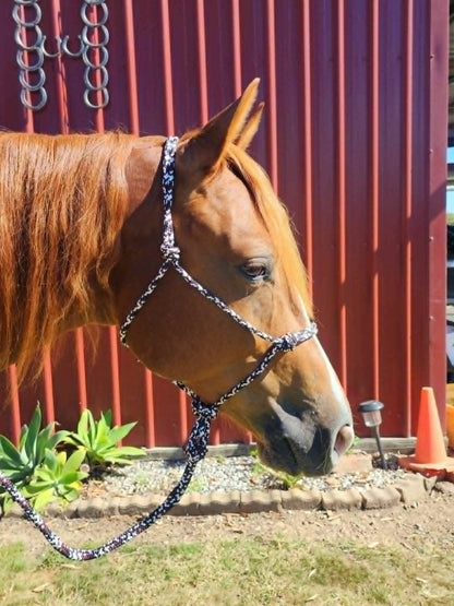 HALTERS